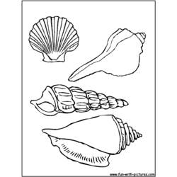 ぬりえページ: 貝 (自然) #163174 - 無料の印刷可能なぬりえページ