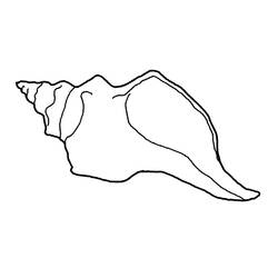ぬりえページ: 貝 (自然) #163211 - 無料の印刷可能なぬりえページ