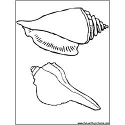 ぬりえページ: 貝 (自然) #163273 - 無料の印刷可能なぬりえページ