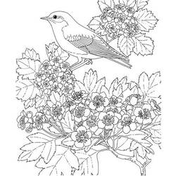 ぬりえページ: 春の季節 (自然) #165058 - 無料の印刷可能なぬりえページ
