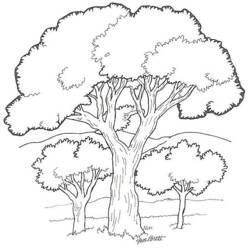 ぬりえページ: 木 (自然) #154679 - 無料の印刷可能なぬりえページ