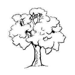 ぬりえページ: 木 (自然) #154683 - 無料の印刷可能なぬりえページ