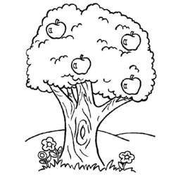 ぬりえページ: 木 (自然) #154702 - 無料の印刷可能なぬりえページ