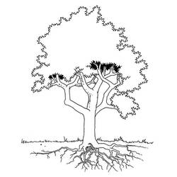 ぬりえページ: 木 (自然) #154704 - 無料の印刷可能なぬりえページ