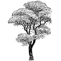 ぬりえページ: 木 (自然) #154715 - 無料の印刷可能なぬりえページ