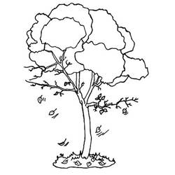 ぬりえページ: 木 (自然) #154720 - 無料の印刷可能なぬりえページ