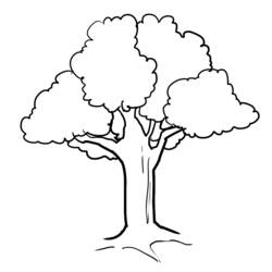 ぬりえページ: 木 (自然) #154722 - 無料の印刷可能なぬりえページ