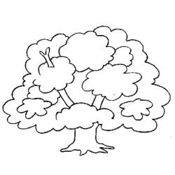 ぬりえページ: 木 (自然) #154730 - 無料の印刷可能なぬりえページ