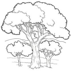 ぬりえページ: 木 (自然) #154733 - 無料の印刷可能なぬりえページ