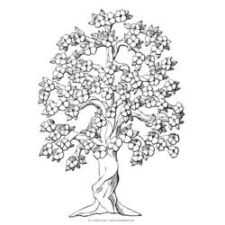 ぬりえページ: 木 (自然) #154739 - 無料の印刷可能なぬりえページ