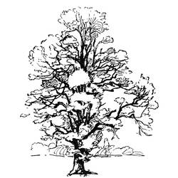 ぬりえページ: 木 (自然) #154743 - 無料の印刷可能なぬりえページ