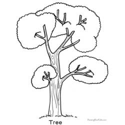 ぬりえページ: 木 (自然) #154747 - 無料の印刷可能なぬりえページ