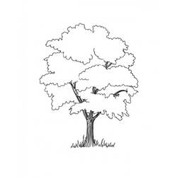 ぬりえページ: 木 (自然) #154760 - 無料の印刷可能なぬりえページ