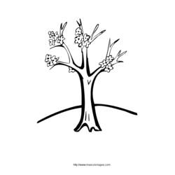 ぬりえページ: 木 (自然) #154761 - 無料の印刷可能なぬりえページ