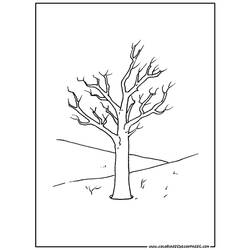 ぬりえページ: 木 (自然) #154777 - 無料の印刷可能なぬりえページ