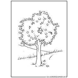 ぬりえページ: 木 (自然) #154804 - 無料の印刷可能なぬりえページ