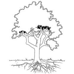 ぬりえページ: 木 (自然) #154887 - 無料の印刷可能なぬりえページ