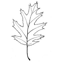 ぬりえページ: 木 (自然) #154919 - 無料の印刷可能なぬりえページ