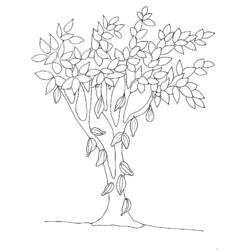 ぬりえページ: 木 (自然) #154928 - 無料の印刷可能なぬりえページ