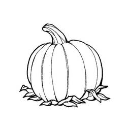 ぬりえページ: かぼちゃ (オブジェクト) #166822 - 無料の印刷可能なぬりえページ