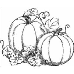 ぬりえページ: かぼちゃ (オブジェクト) #166934 - 無料の印刷可能なぬりえページ